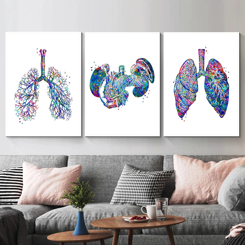 Anatomy Medical Poster Flower  - Medical Lab Pictures recension och pris