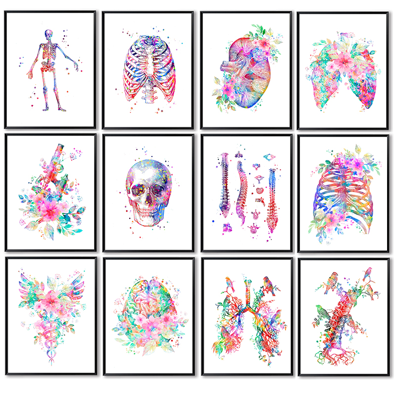 Anatomy Medical Poster Flower  - Medical Lab Pictures recension och pris