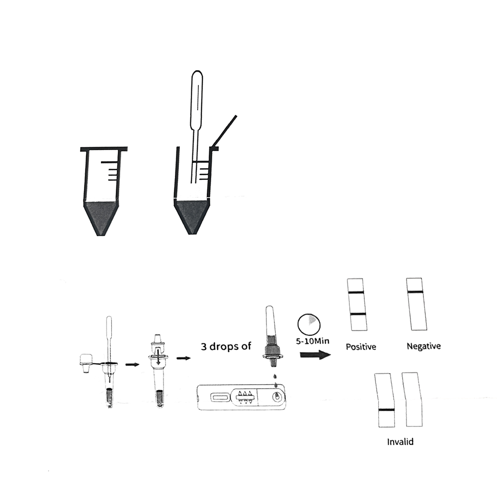 1set/5set Professional Pet Dog - Urine Analyzer Strip recension och pris