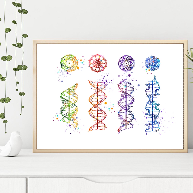 DNA Molecule Print Modern Medi - Medical Lab Pictures recension och pris