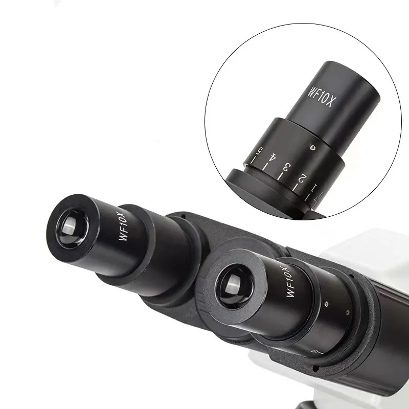 Real Picture WF10x Eyepieces 4 - Medical Lab Pictures recension och pris